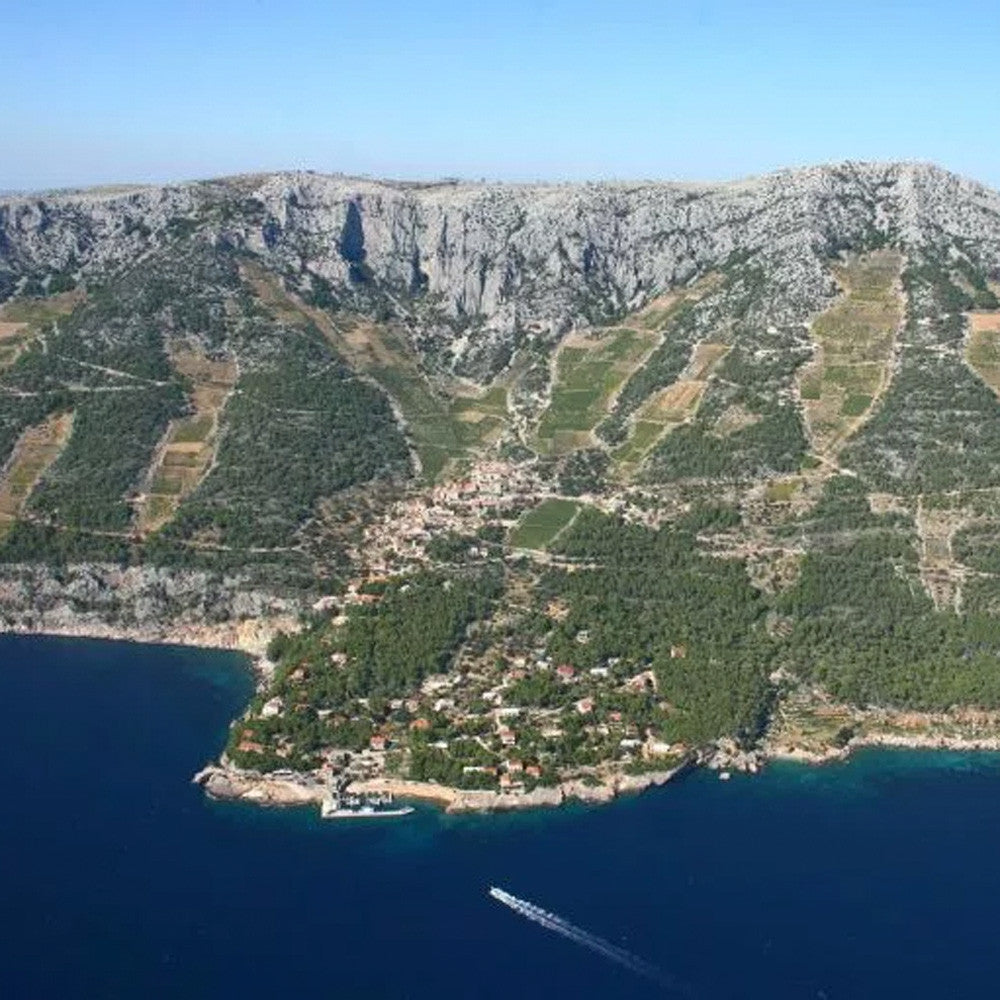 Zlatan Plavac Grand Select 2020