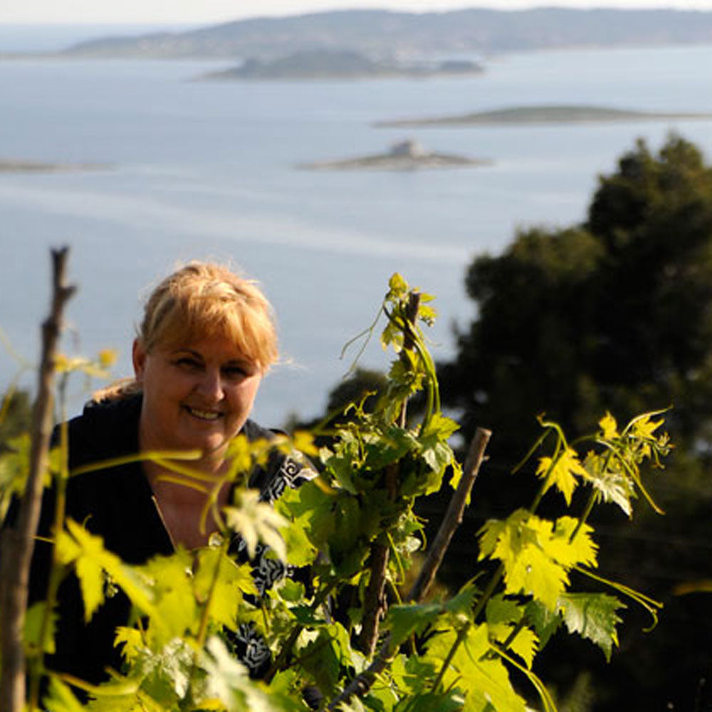 Bura Plavac Mali 2023