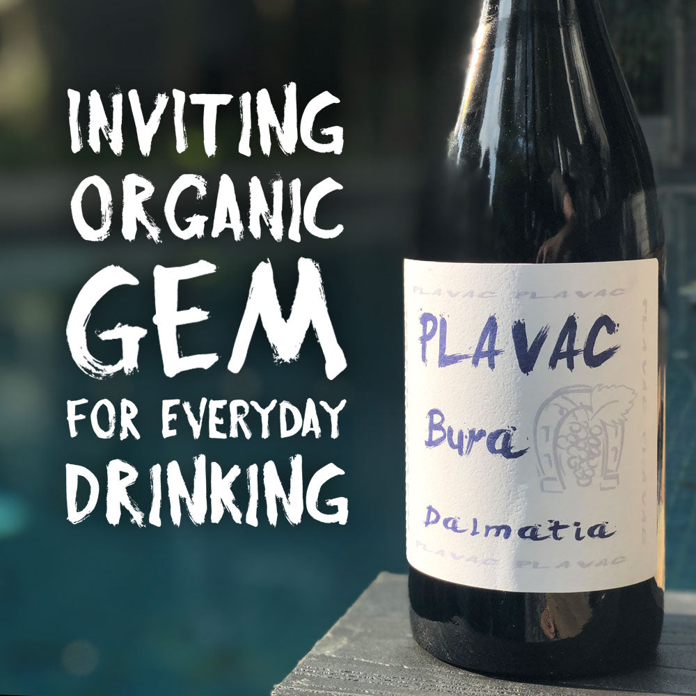 Bura Plavac Mali 2023