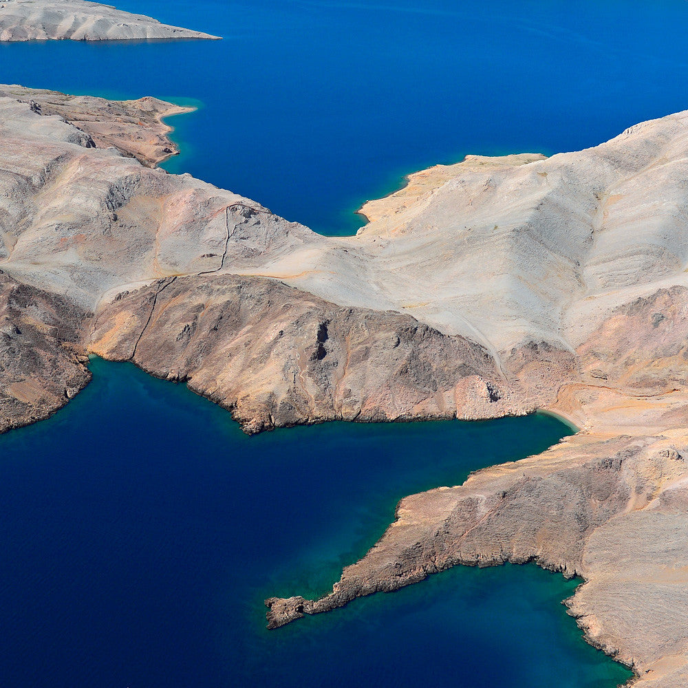 XO Paški Sir: World's best sheep cheese