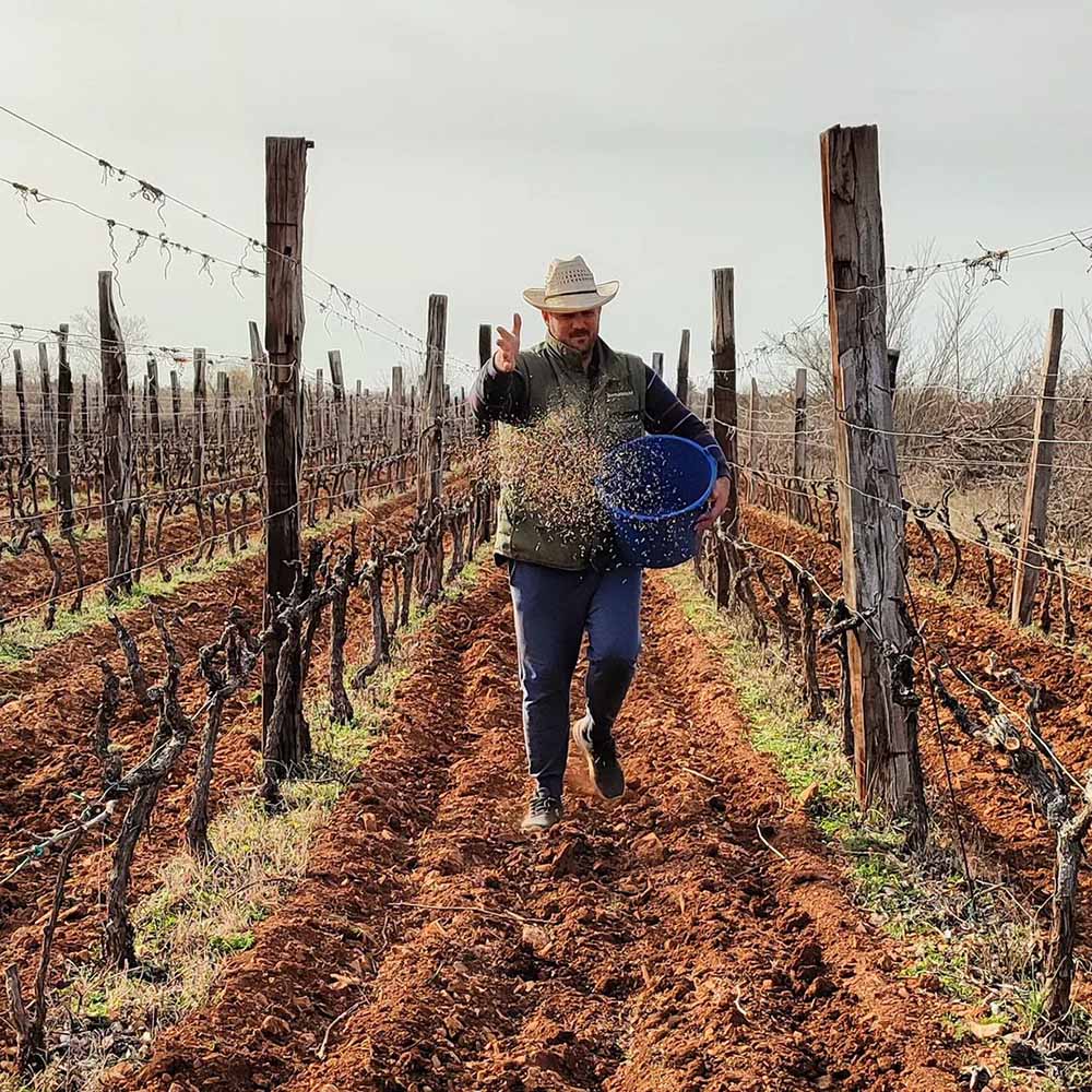 Cota Lapacha Rosé 2022