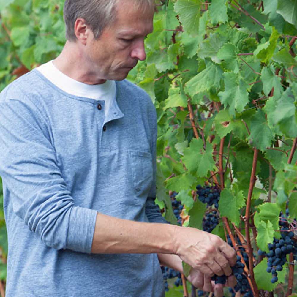 Matošević Grimalda Red 2018