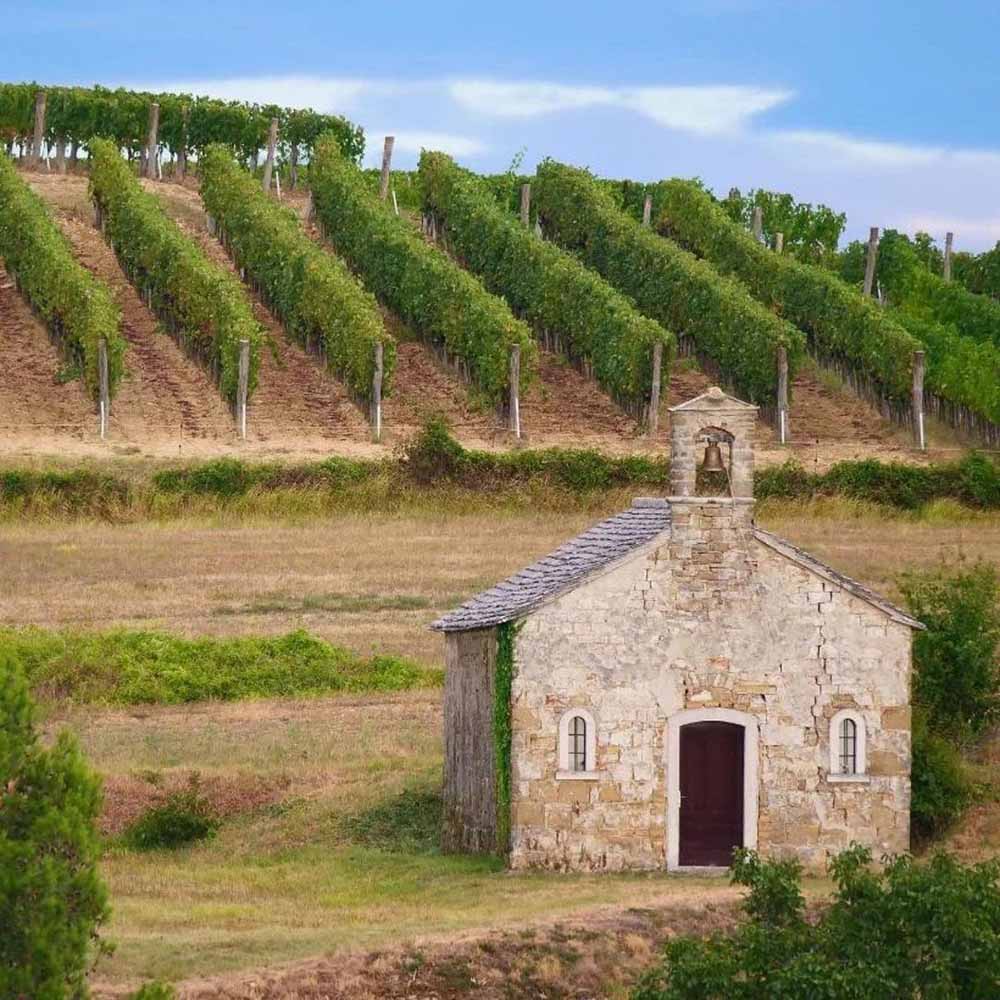 Ipša Malvazija 2018