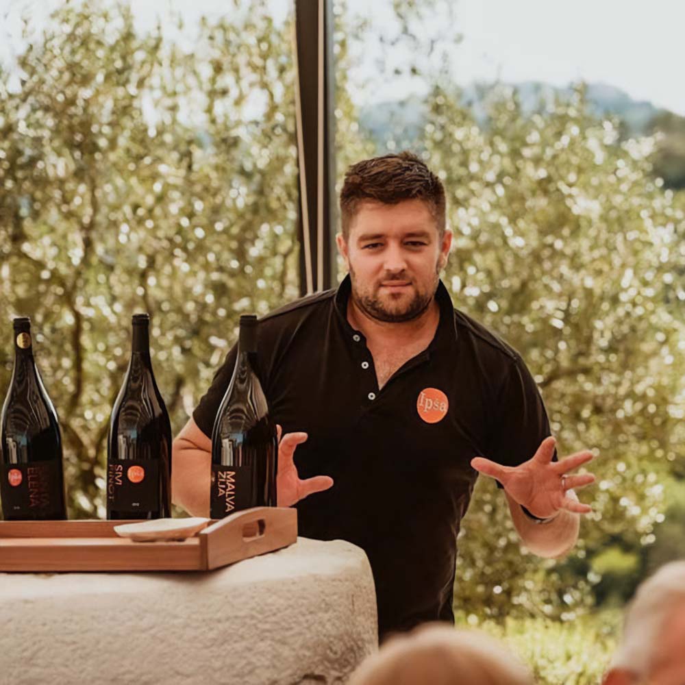 Ipša Malvazija 2018