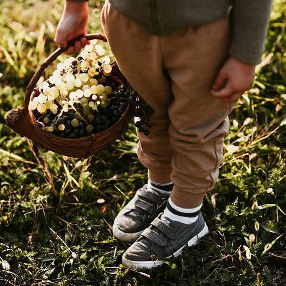 Kosovec Škrlet Selekcija 2017