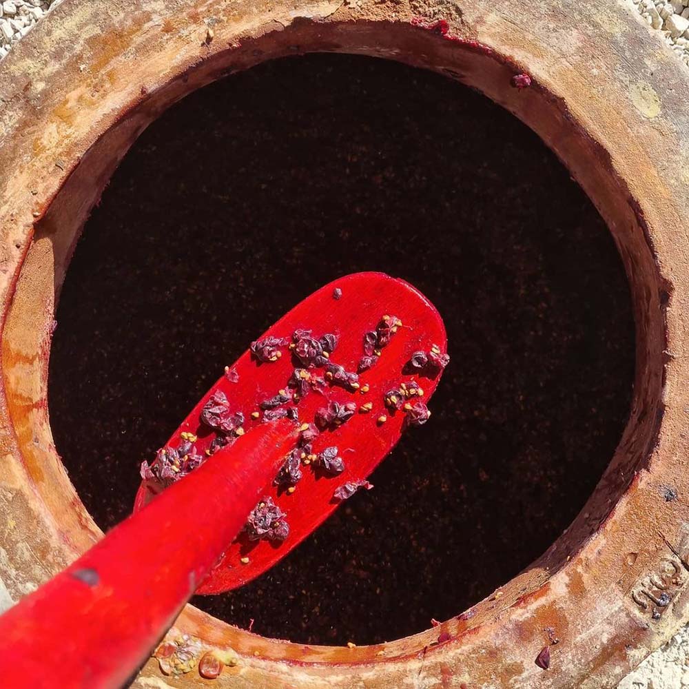 Tomac Marany Red 2021