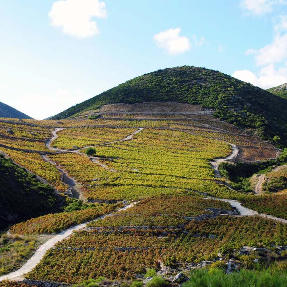 Miloš Stalagmit 2021