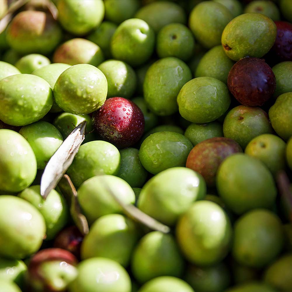 Belić Vodnjanska Crnica EVOO