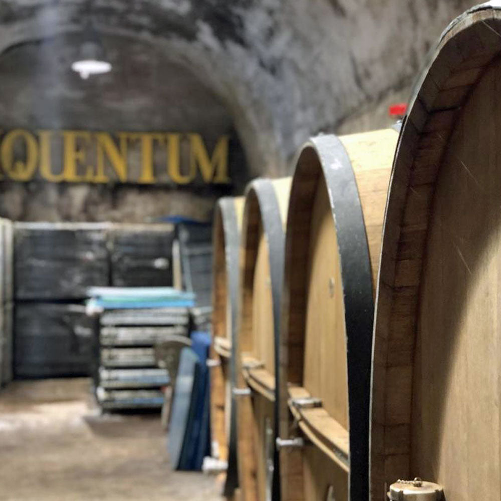 Piquentum Teran 2021