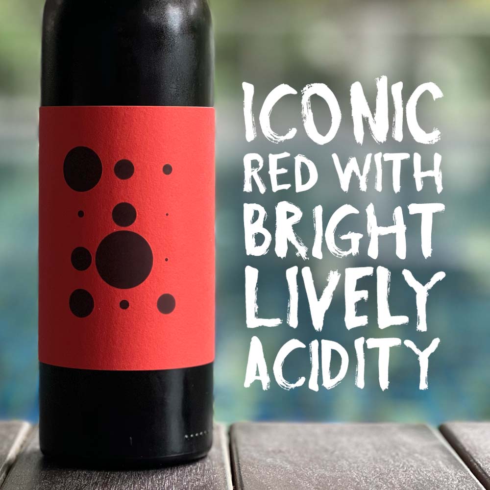 Piquentum Teran 2021