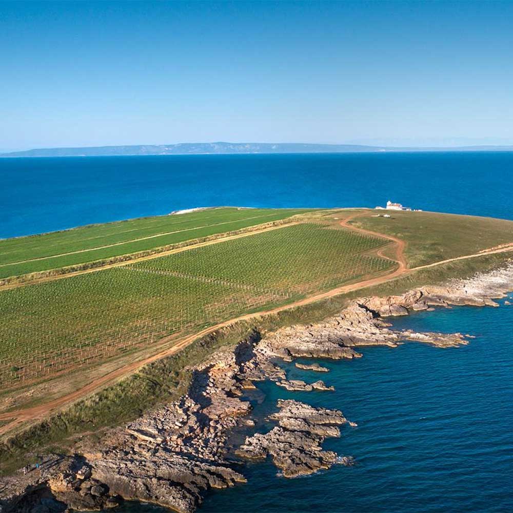 Medea Punta Greca Merlot 2018