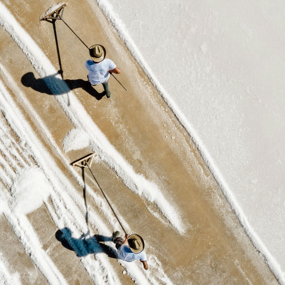 Bio Sea Salt (Coarse)