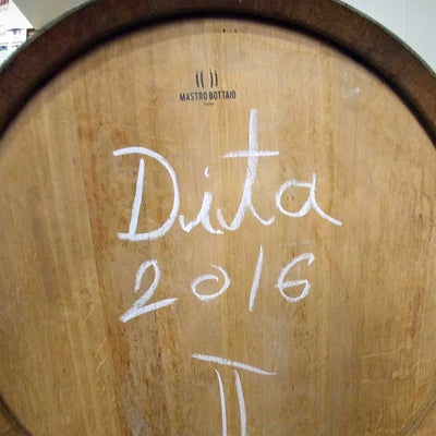 Senjković Dita 2016