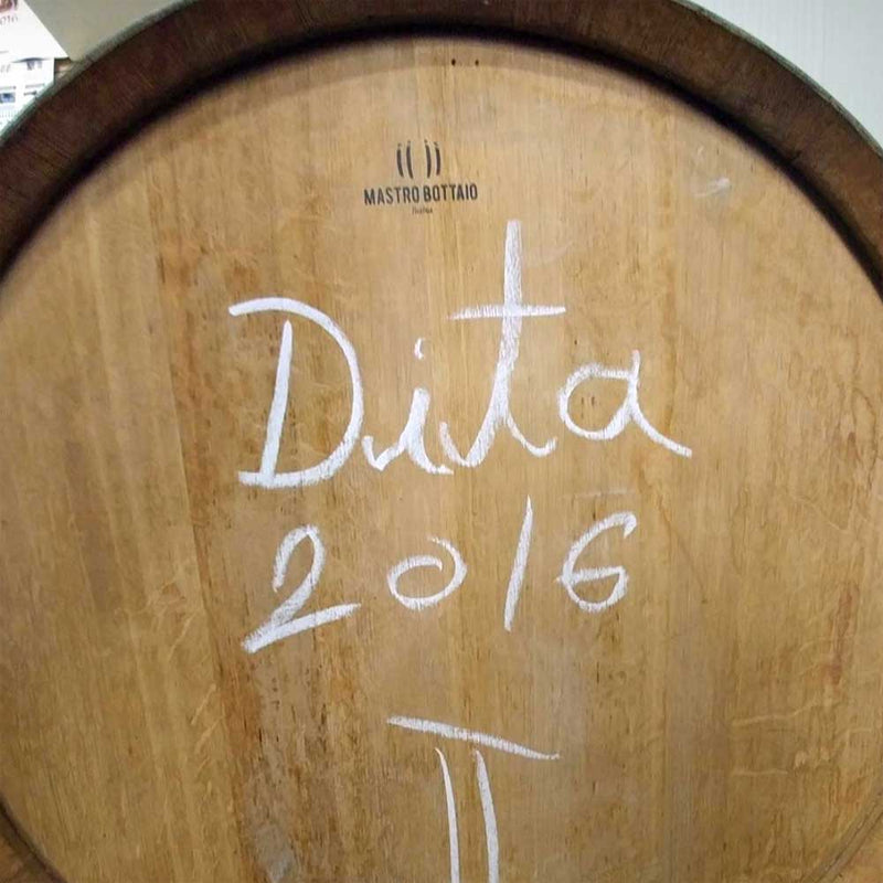 Senjković Dita 2016