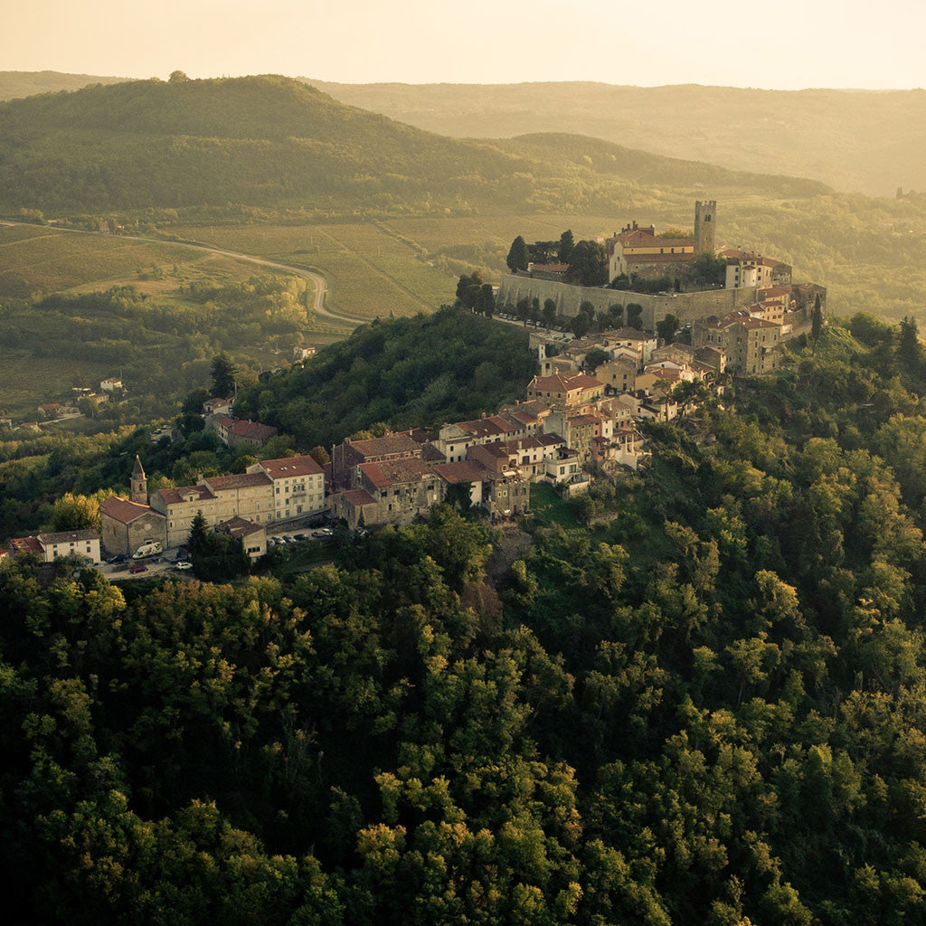 Fresh Istrian Black Summer Truffles (July - September)