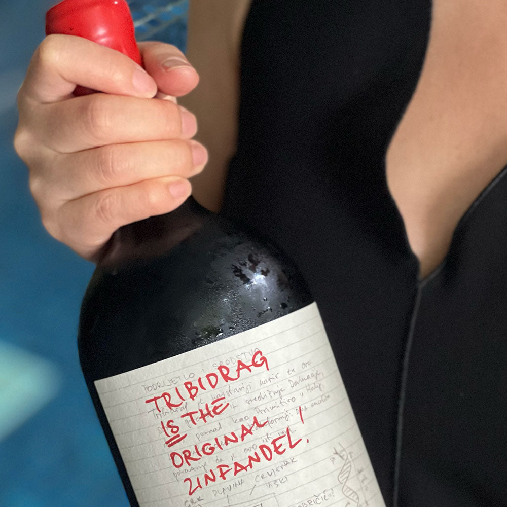 Testament Tribidrag 2019