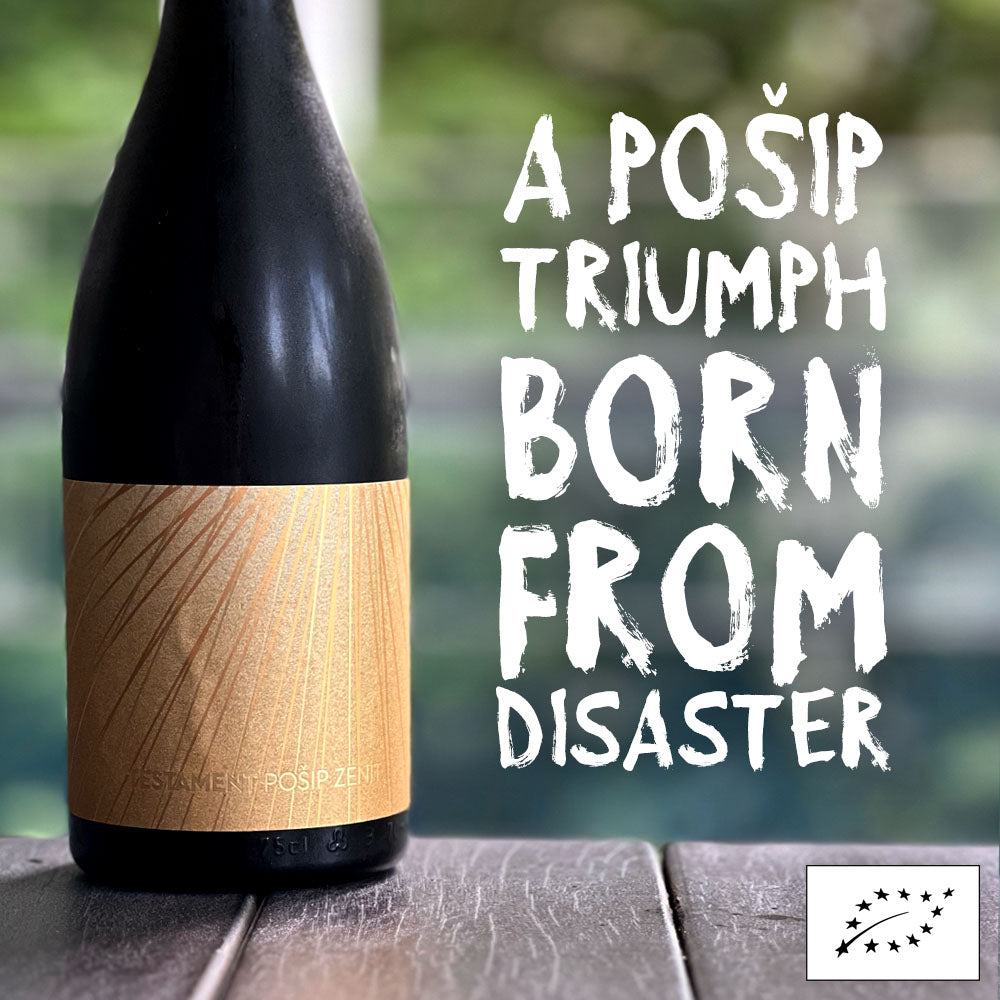 Testament Pošip Zenit 2018