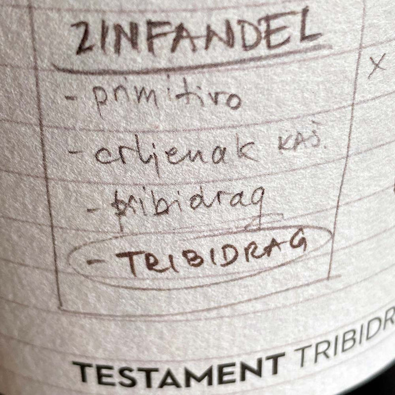 Testament Tribidrag 2019