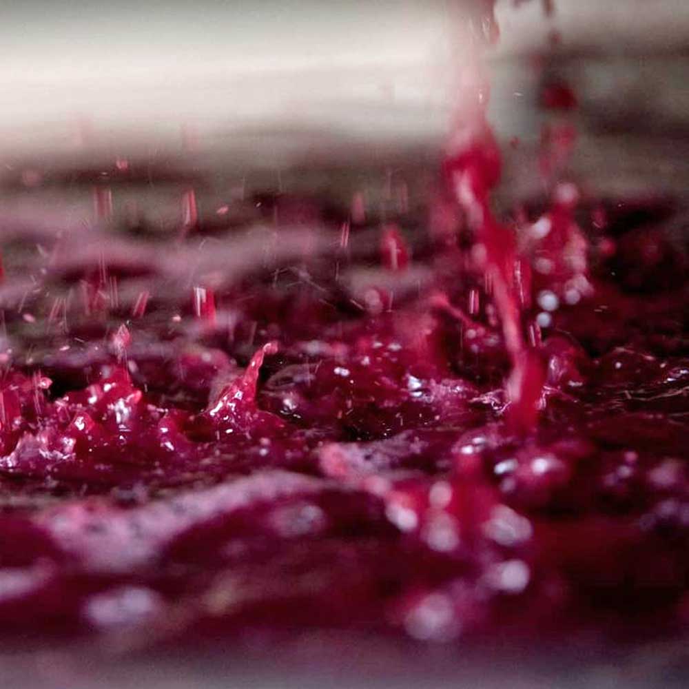 Tomac Pet Nat Rosé 2021