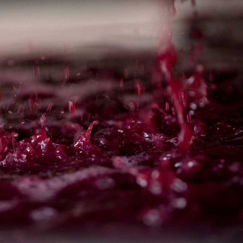 Tomac Pinot Noir 2018