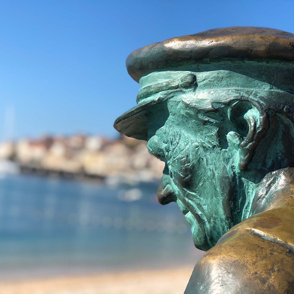 Vinas Mora Barbba 2020