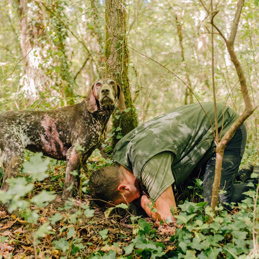 Fresh Istrian Black Summer Truffles (July - September)